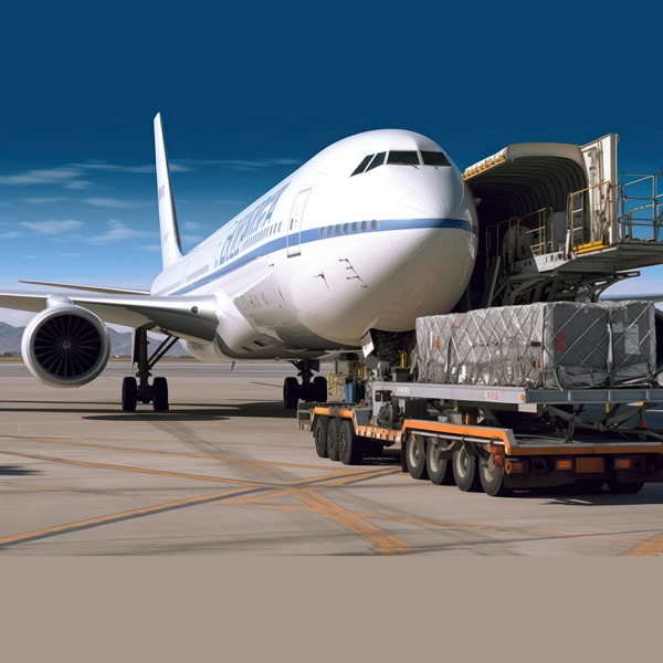 Cargo plane, representing efficient and reliable air freight logistics.